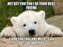 Popular Opinion Bear
