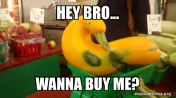 Gourd Advice Mallard