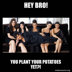 Kardashians