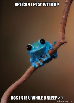 Small Fact Frog