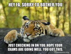 Confession Tiger