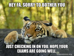 Confession Tiger