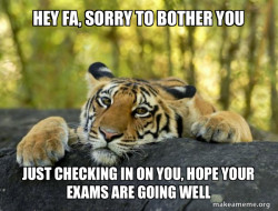 Confession Tiger