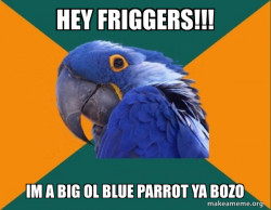 Paranoid Parrot