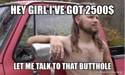 Almost Politically Correct Redneck
