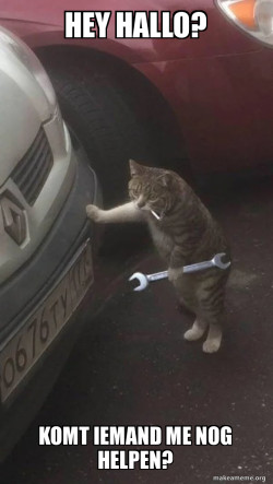 Mechanic Cat