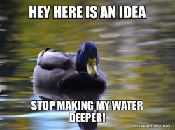 Zen Advice Mallard