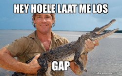 Steve irwin