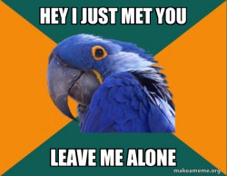 Paranoid Parrot