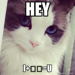 Ridiculously Photogenic Cat