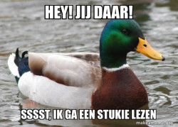 Actual Advice Mallard