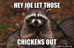 Evil Plotting Raccoon