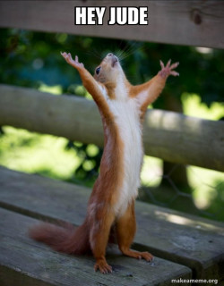 Happy Squirrel