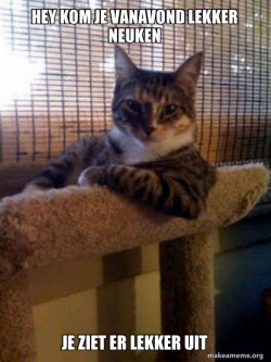 The Most Interesting Cat in the World