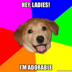 Advice Dog