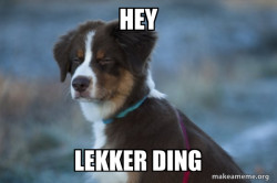 Unsure Dog