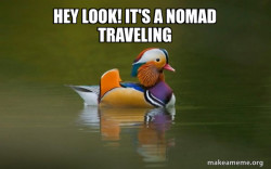 Fashionable Advice Mallard