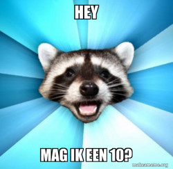 Lame Pun Coon