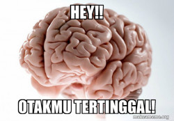 Scumbag Brain