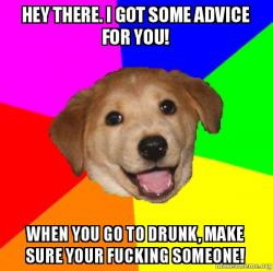Drunk Advice Dog