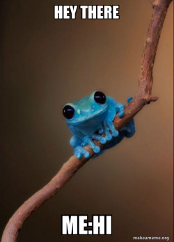 Small Fact Frog