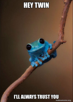 Small Fact Frog