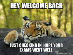 Confession Tiger