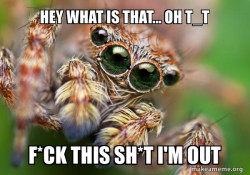 when i see a spider.