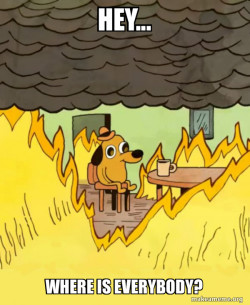 This Is Fine