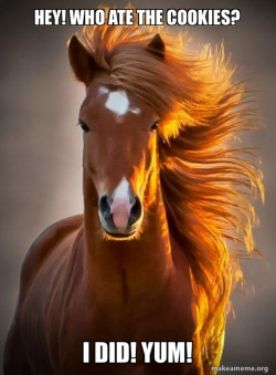 Cookie_horse