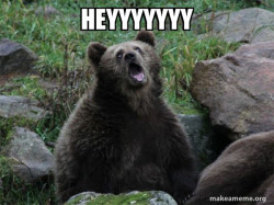 Sarcastic Bear