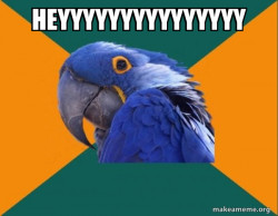 Paranoid Parrot
