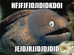 Bad Joke Eel