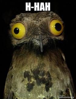 Weird Stuff I do Potoo