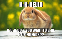 scared rabbit that wants to be friends