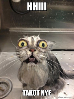 Cat bath