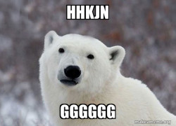 Popular Opinion Polar Bear