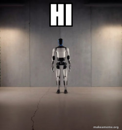 Tesla Robot