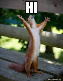 Happy Squirrel
