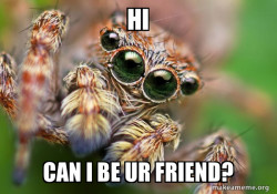 Hipster Spider
