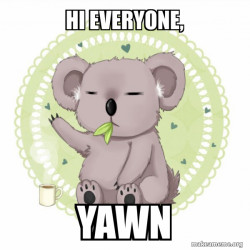Aussie Koala doing the night shift