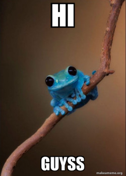 Small Fact Frog