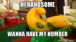 Gourd Advice Mallard