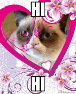 Grumpy cat Valentines Day