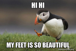 Unpopular Opinion Puffin