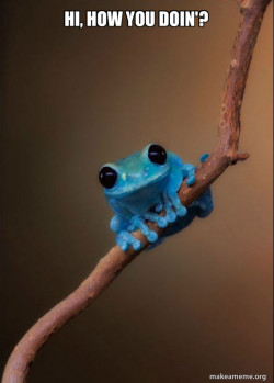 Small Fact Frog