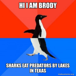 Socially Awesome Awkward Penguin
