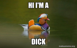 Fashionable Advice Mallard