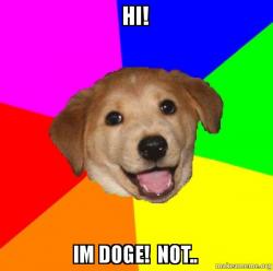 Advice Dog