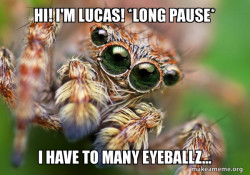 Hipster Spider